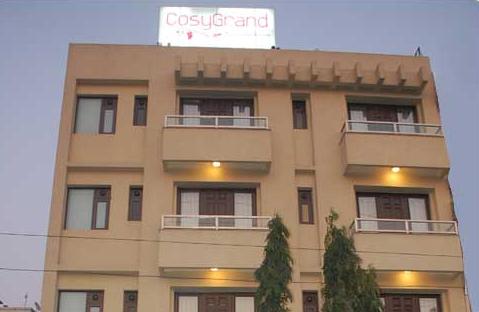 Cosy Grand Hotel Delhi