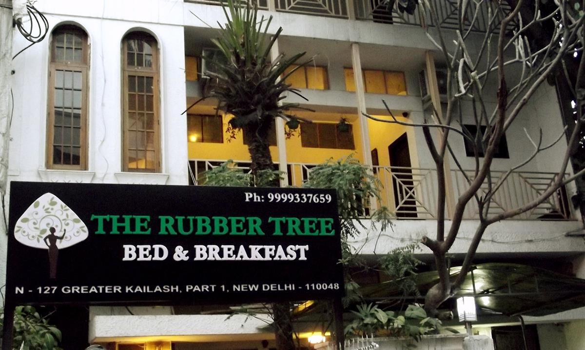 The Rubber Tree Bed And Breakfast Delhi