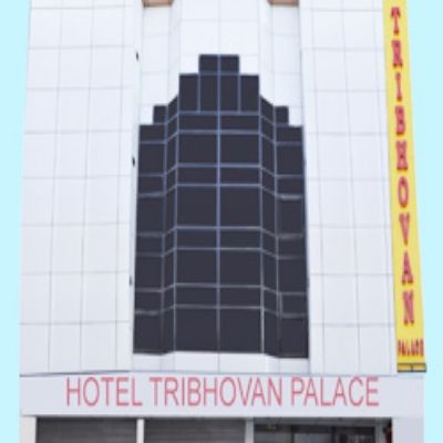 Tribhovan Palace Hotel Delhi